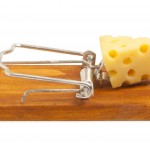 Mousetrap with cheese