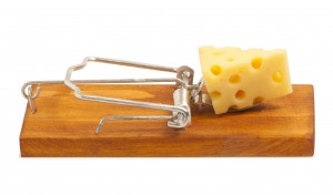 Ratoeira com queijo