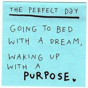 the-perfect-day