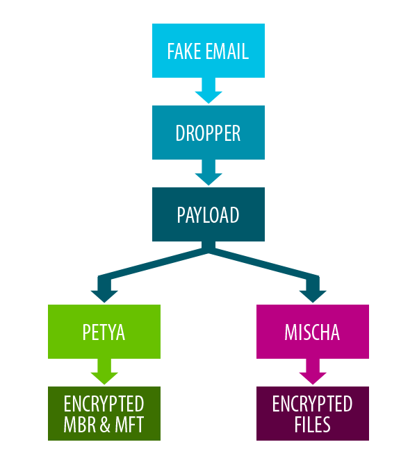 003_schema.png