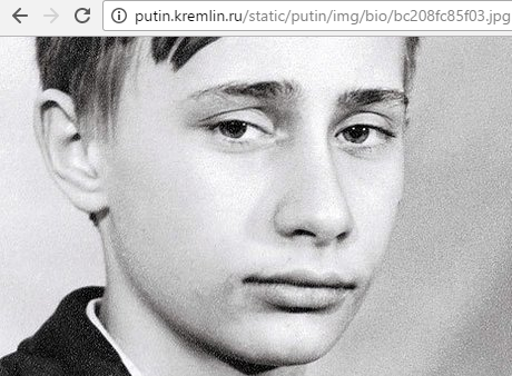 В коде uTorrent обнаружена ссылка на Владимира Путина
