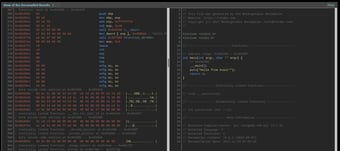 Прямой машинный код. Машинный язык программирования. Машинный код. Как выглядит машинный код. Машинный код x86.