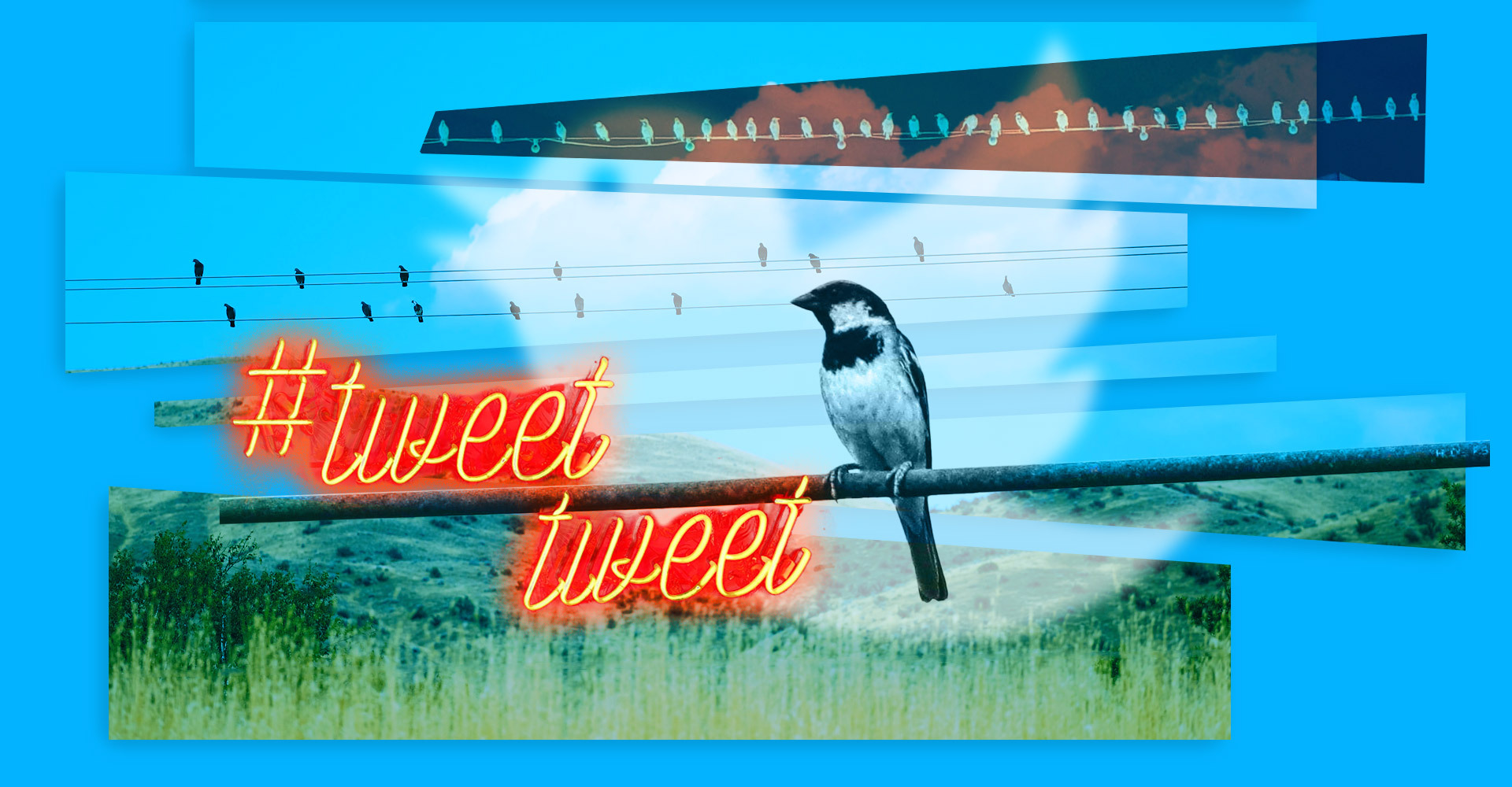 What Twitter Knows About You | Avast