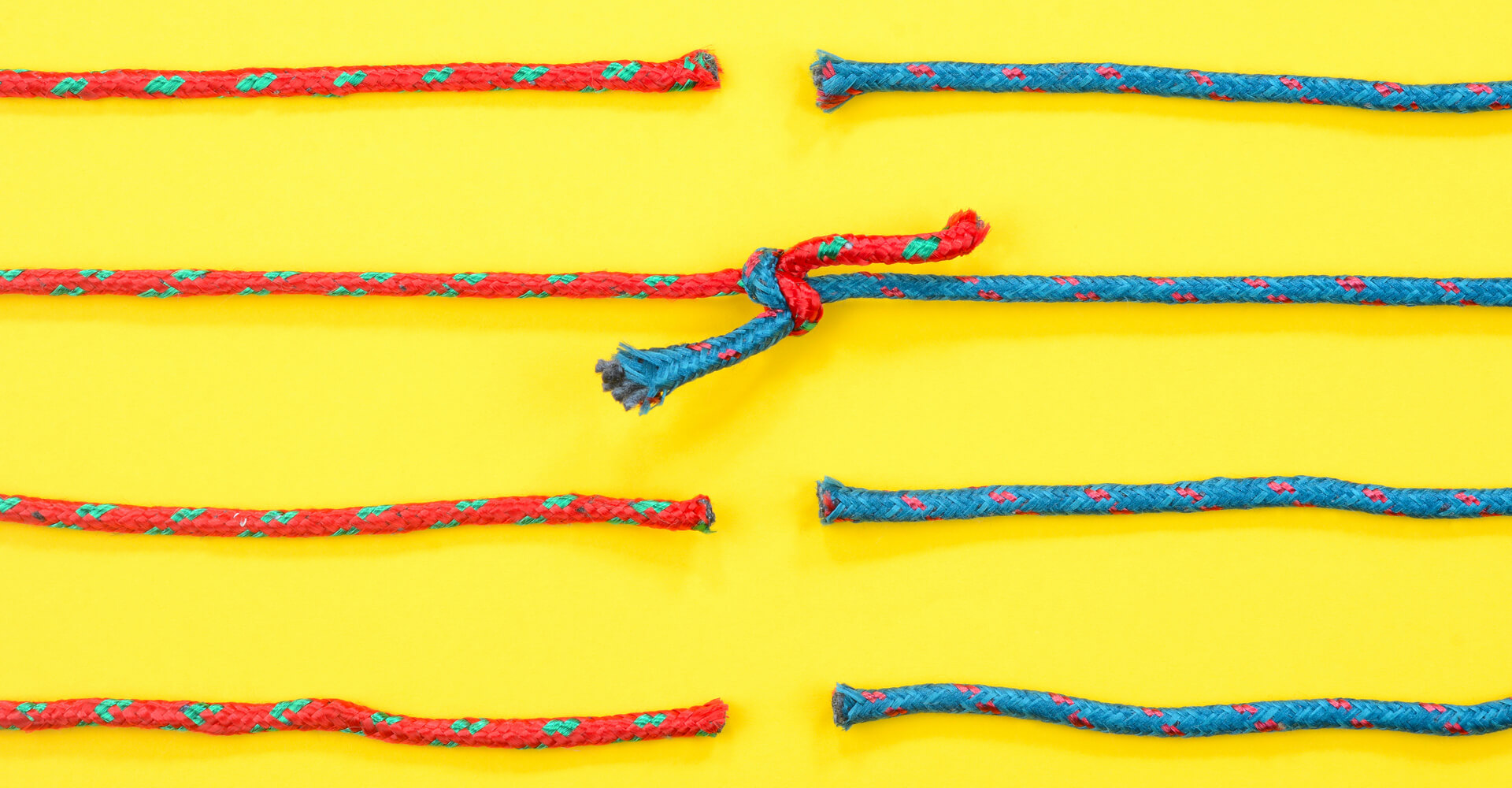 Prevent Business Network Failures | Avast